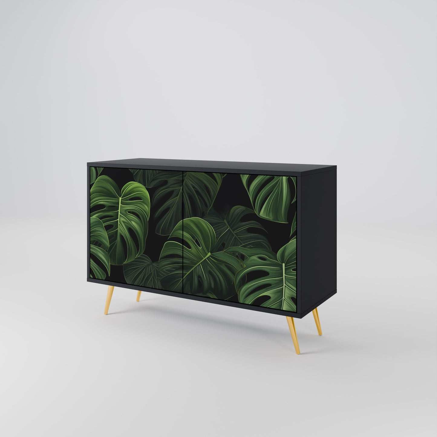 INFINITE MONSTERA 2-dörrars skänk i svart finish