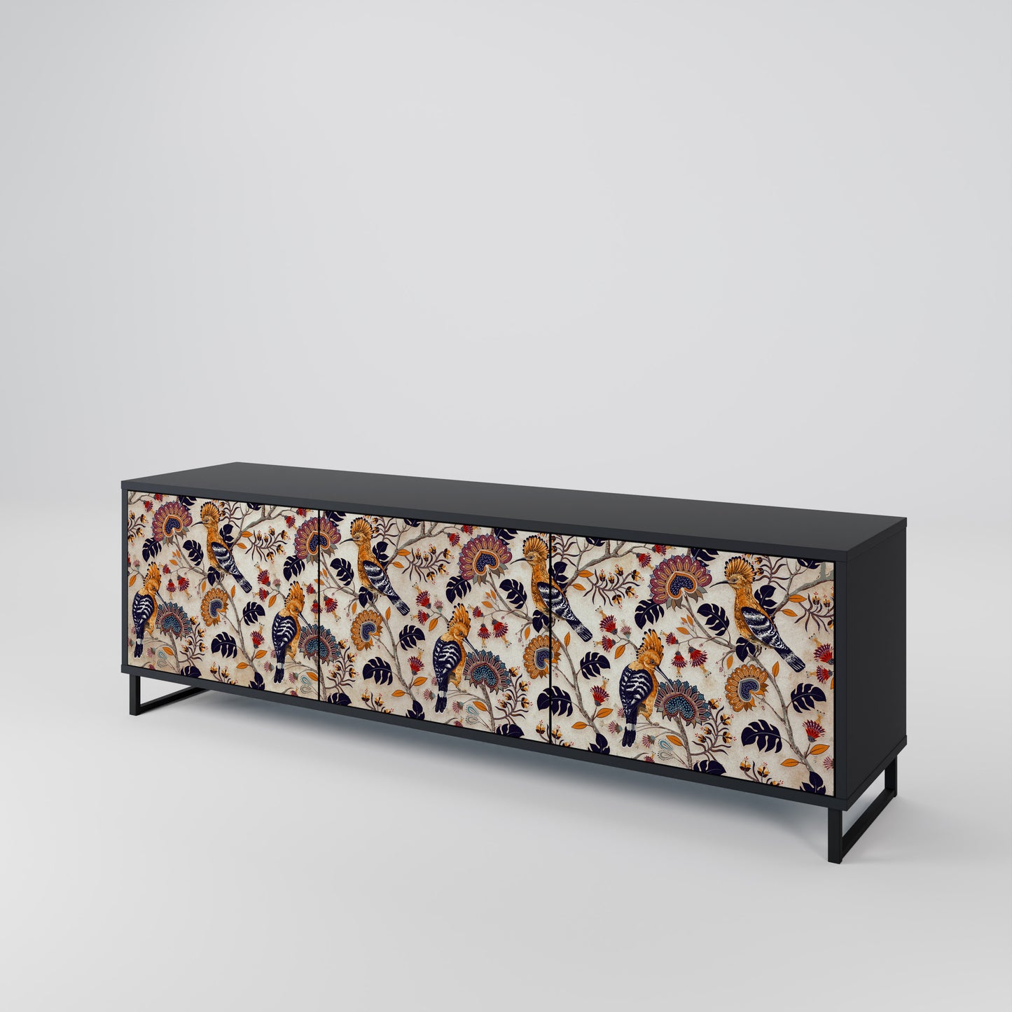 EMINENT HOOPOE 3-Door TV Stand in Black Finish