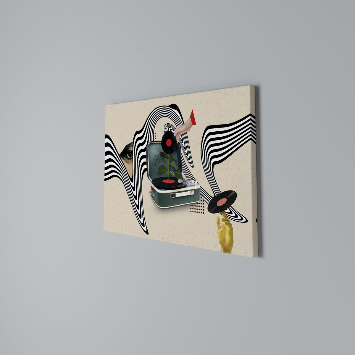 VINYL VARIATION Horizontal Canvas Print