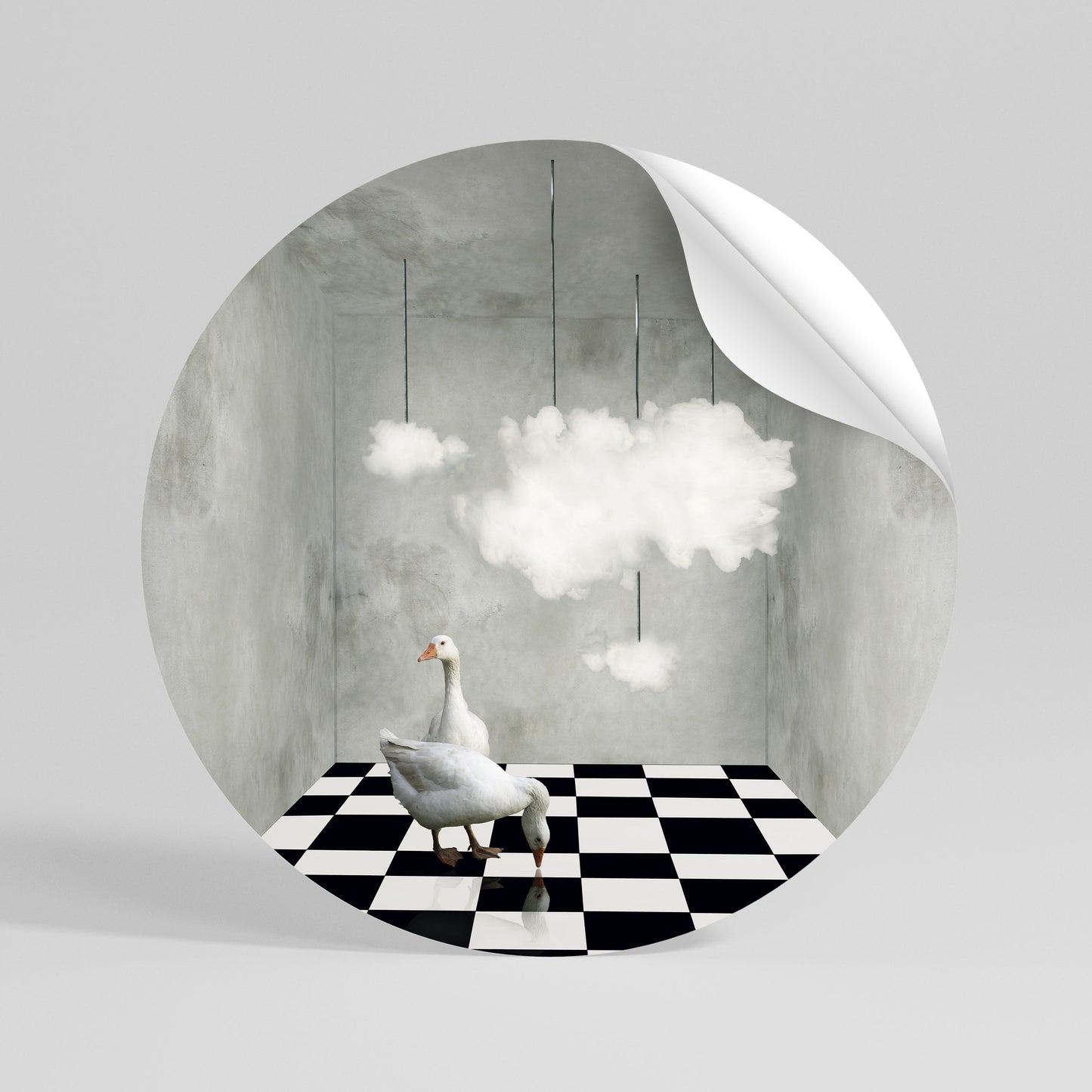 CHESS CLOUD SWAN Rund väggdekal