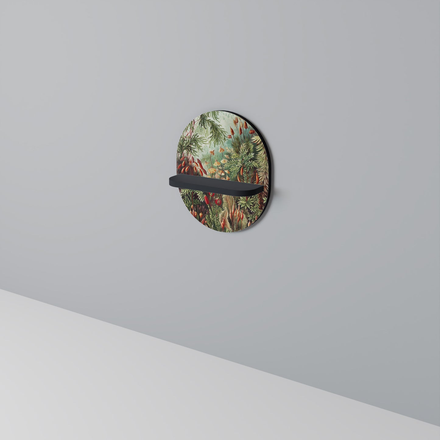 MUSCINAE LAUBMOOSE Oval konsthylla i svart finish