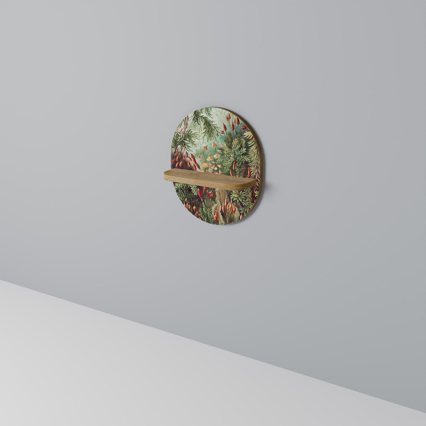 MUSCINAE LAUBMOOSE Oval konsthylla i ekeffekt