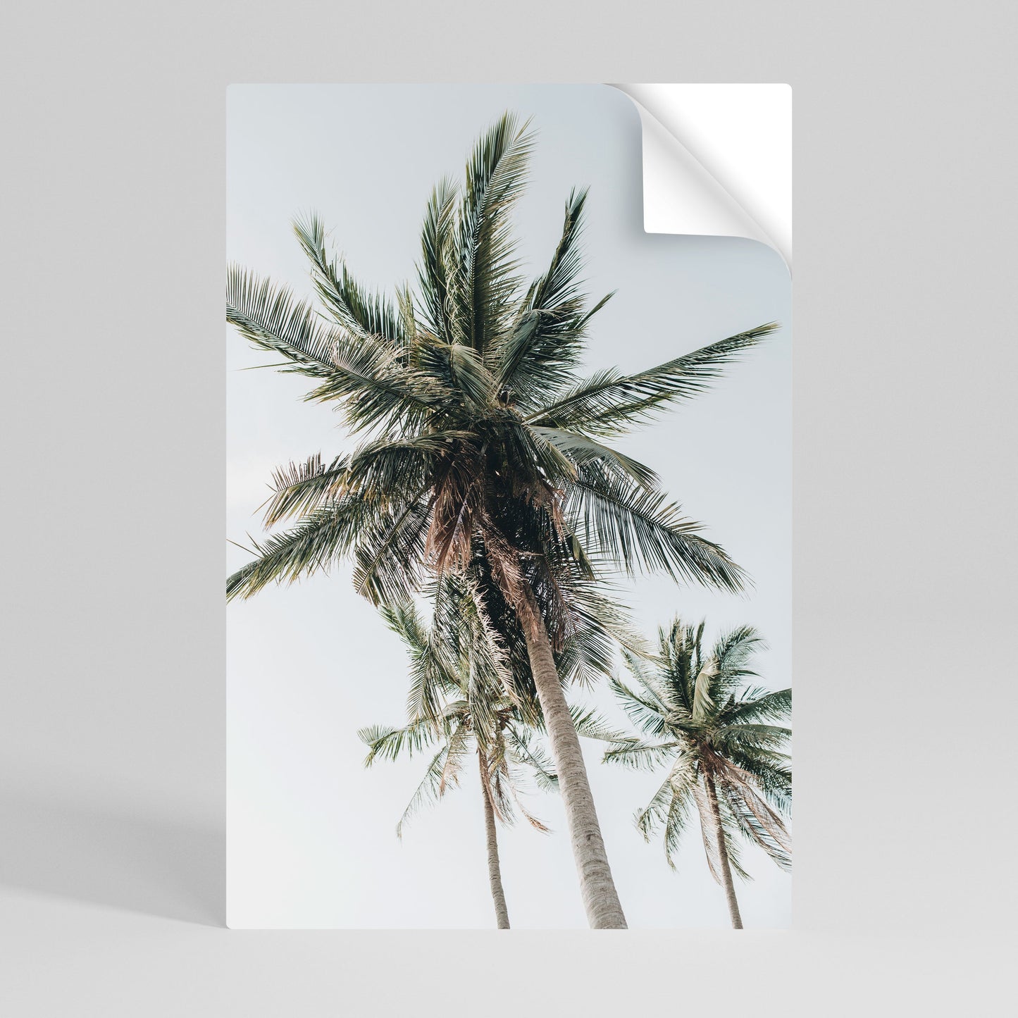 PALM PARADISE SIGHT vertikal affisch med självhäftande text