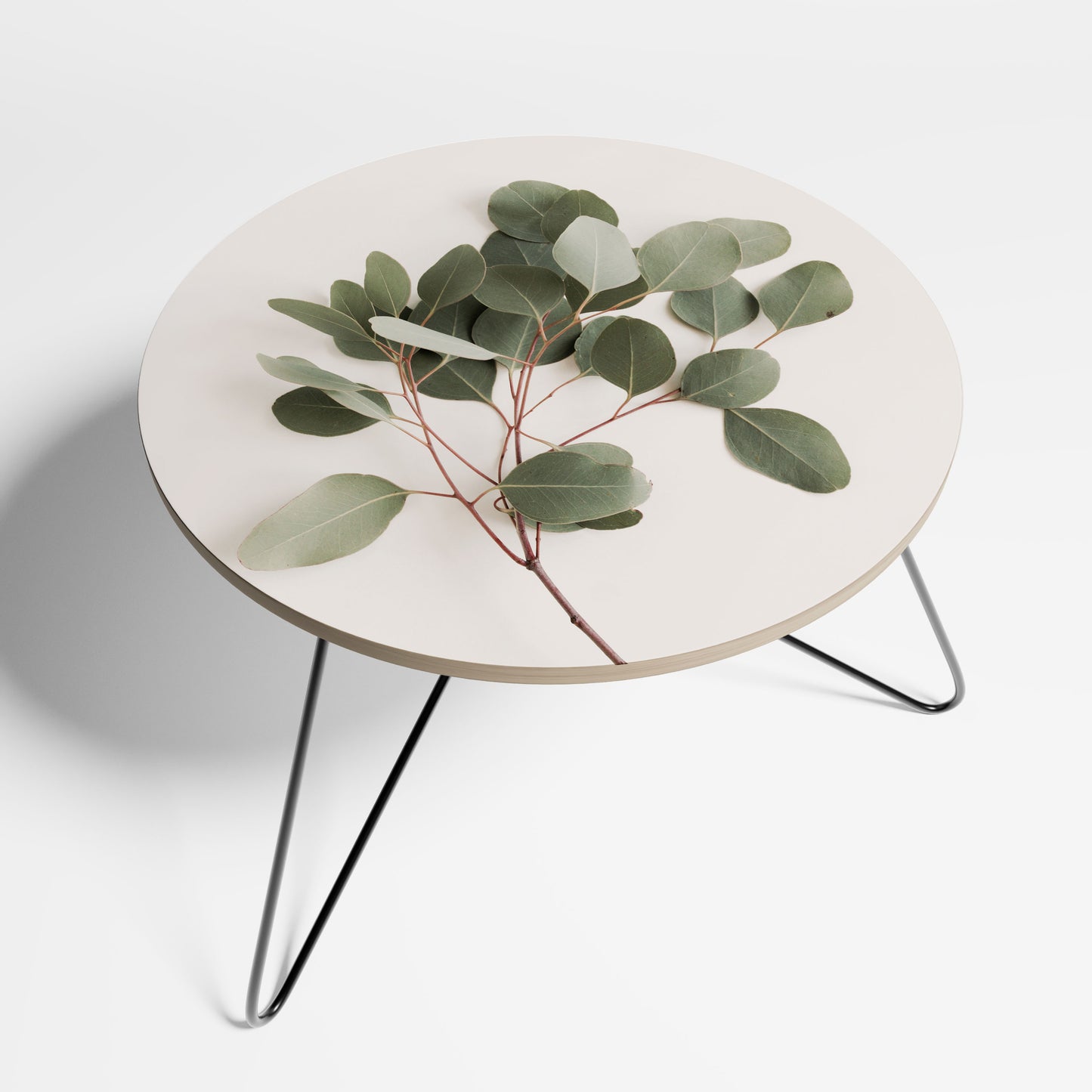 EUCALYPTUS BRANCH Large Coffee Table