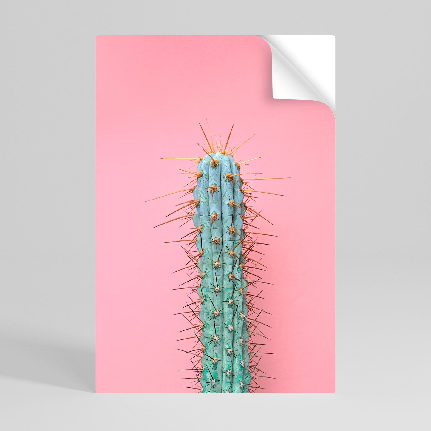 MISTER CACTUS vertikal affisch med självhäftande text