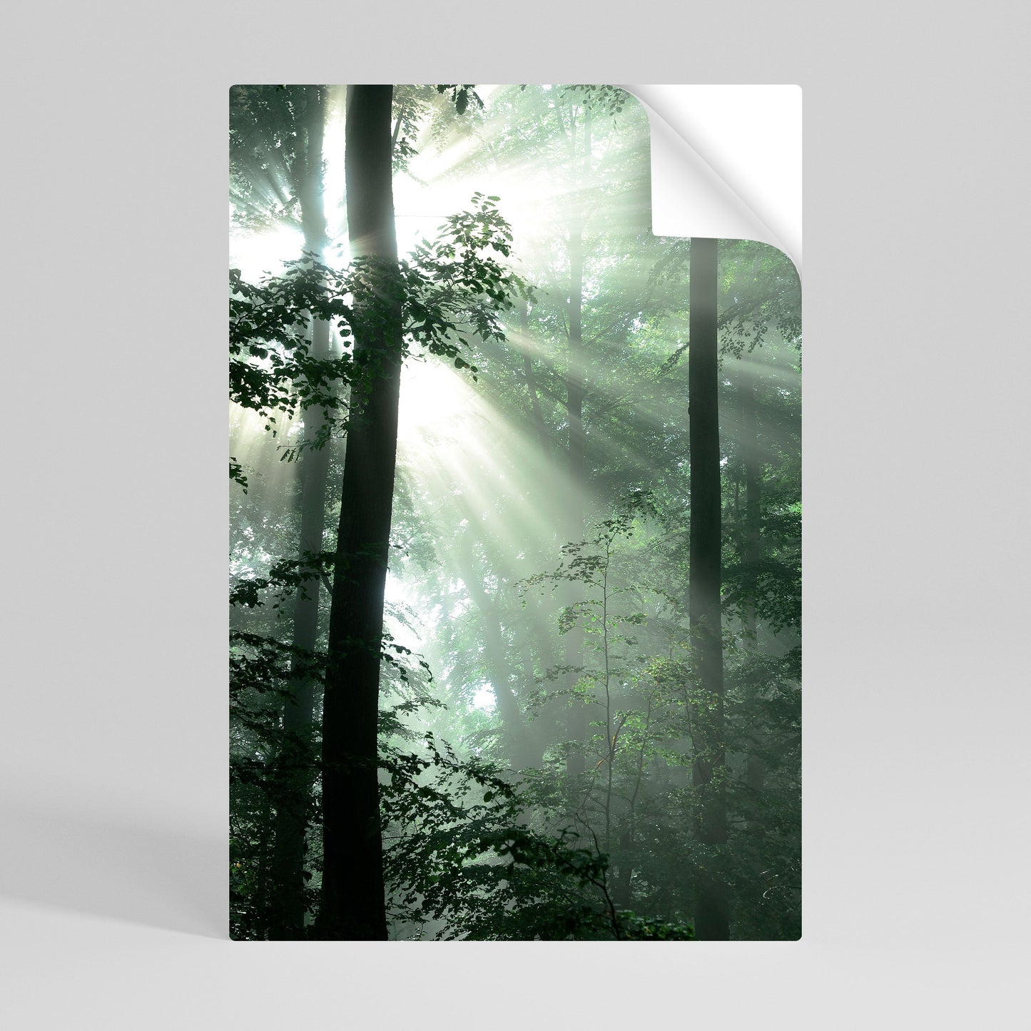 MYSTICAL SUNBEAMS vertikal poster med självhäftande text
