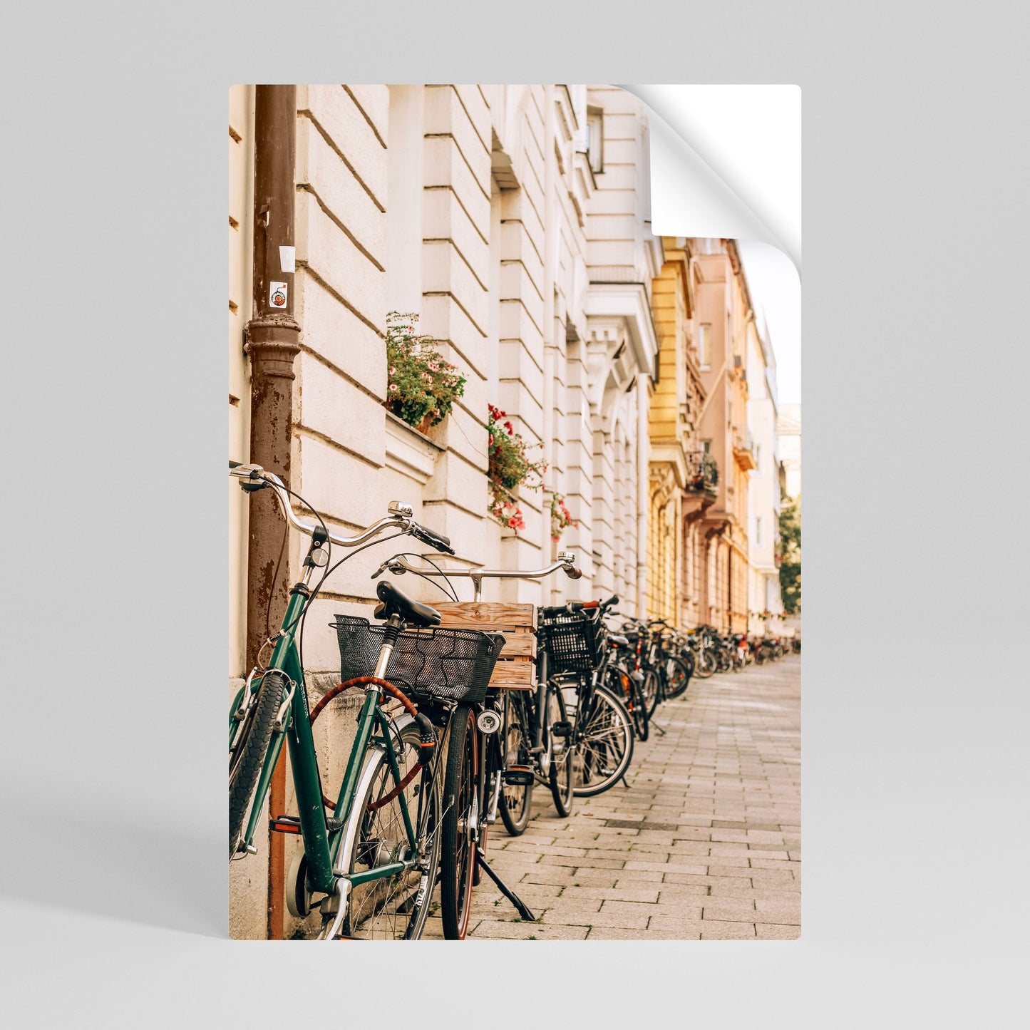URBAN CYCLE HAVEN Vertikal affisch med självhäftande text