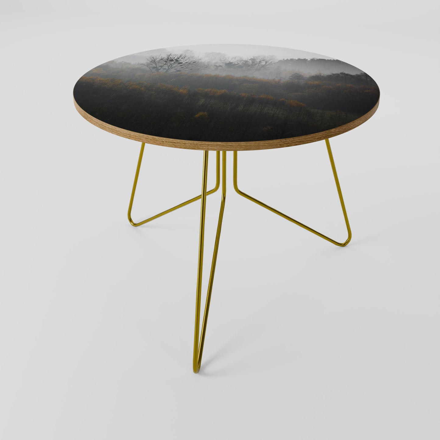 AUTUMNAL HAZE Coffee Table 69