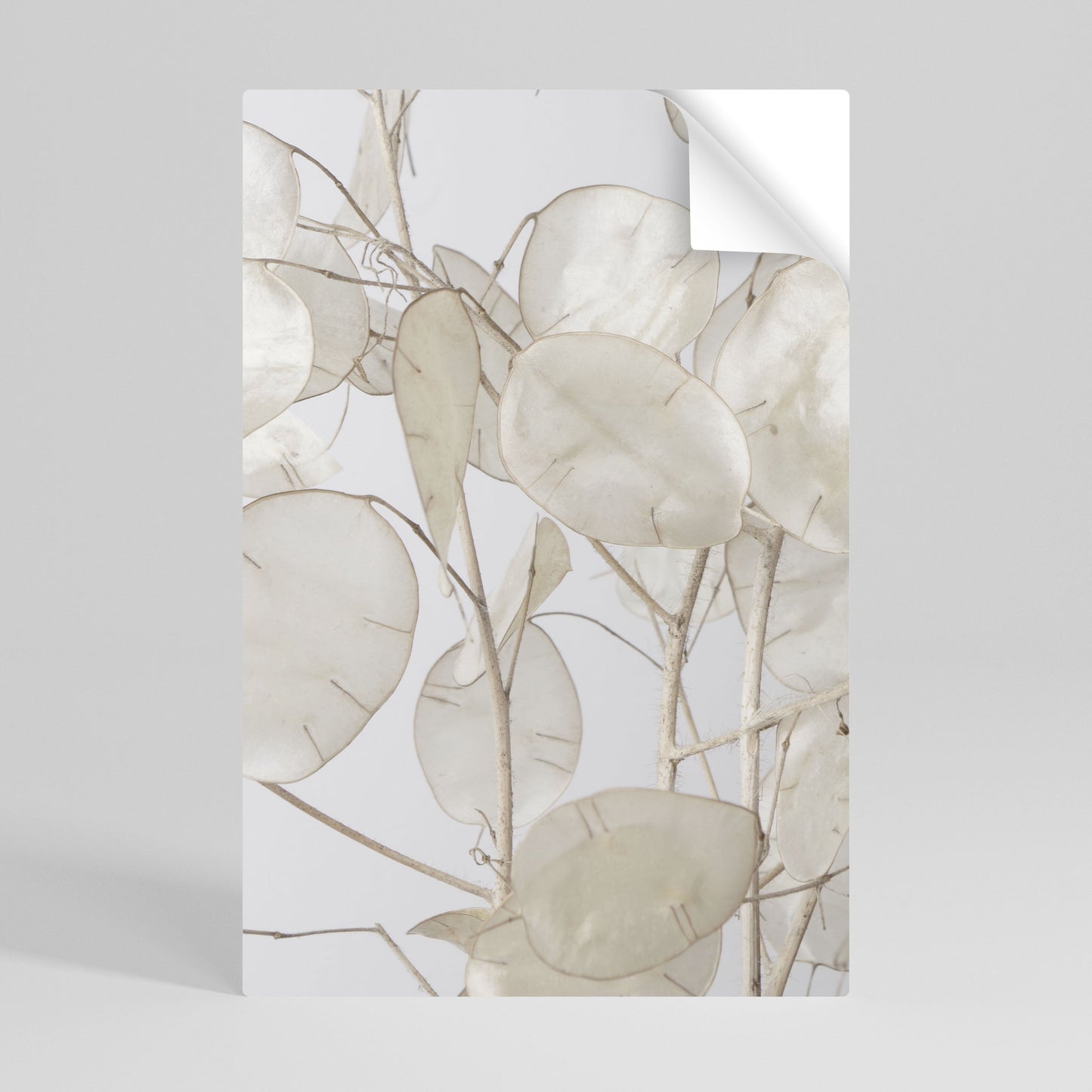SILKY FOLIAGE WHISPERS Vertikal poster med självhäftande text