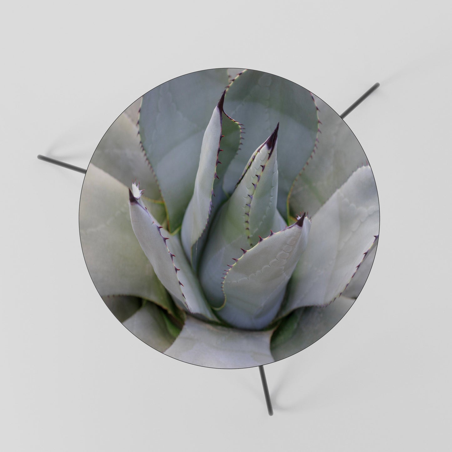AGAVE ELEGANCE Soffbord 60