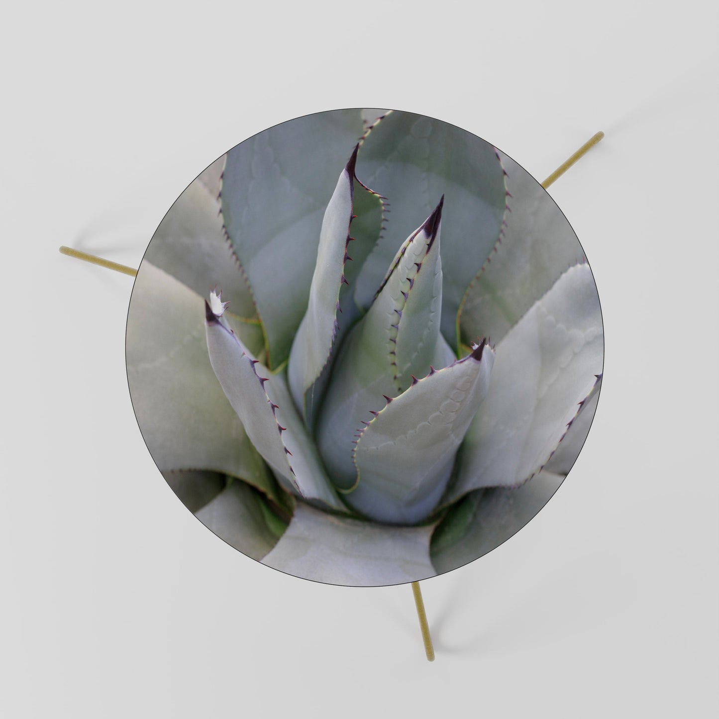 AGAVE ELEGANCE Soffbord 60