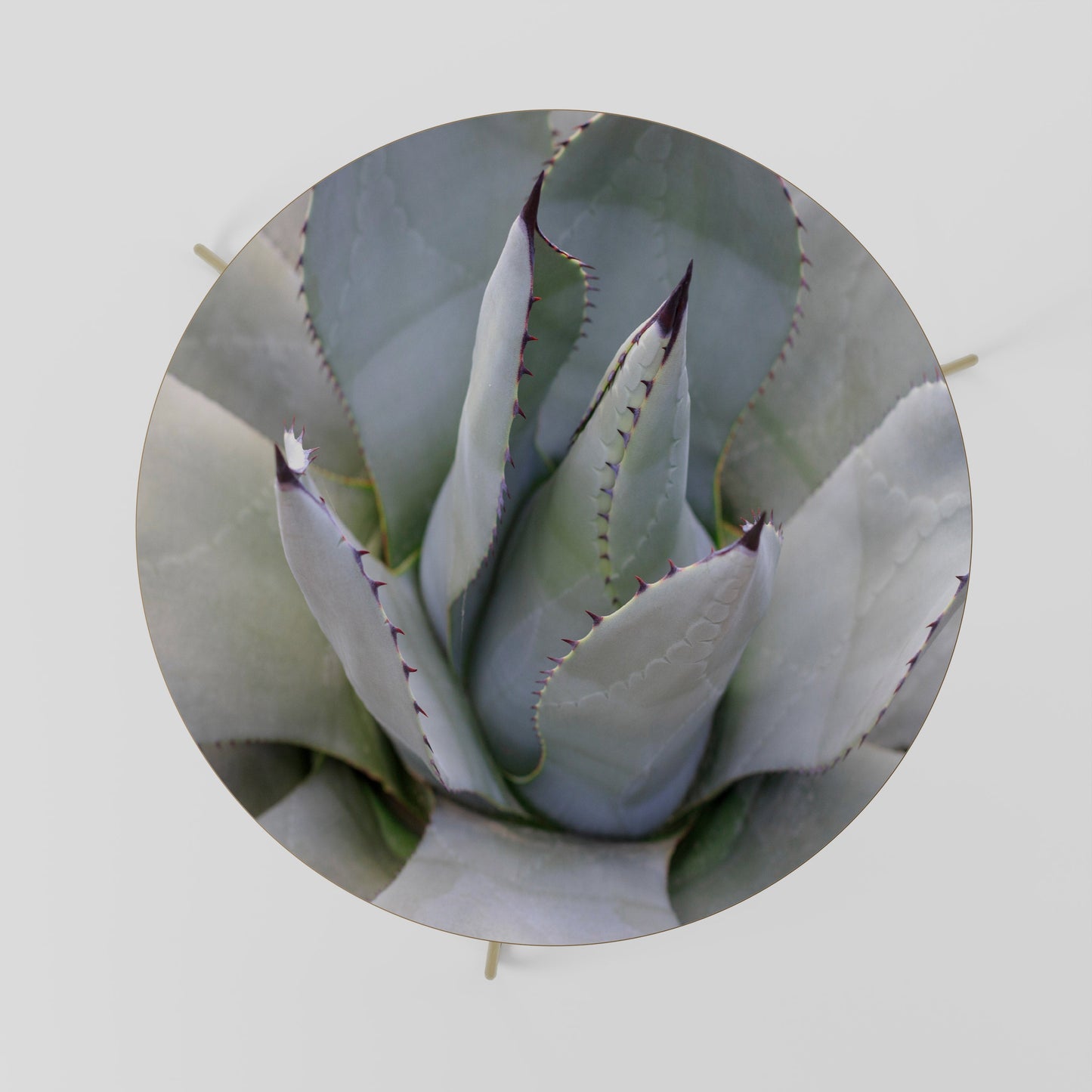 AGAVE ELEGANCE Soffbord 69