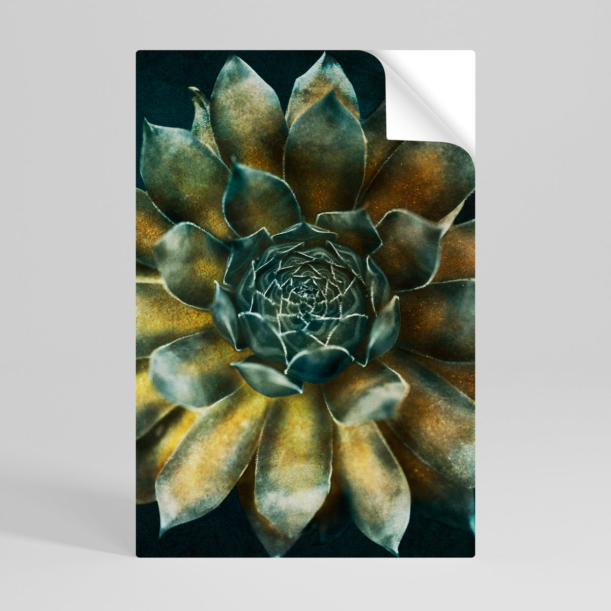 MYSTICAL SUCCULENT WHIRL Självhäftande Vertikal Poster