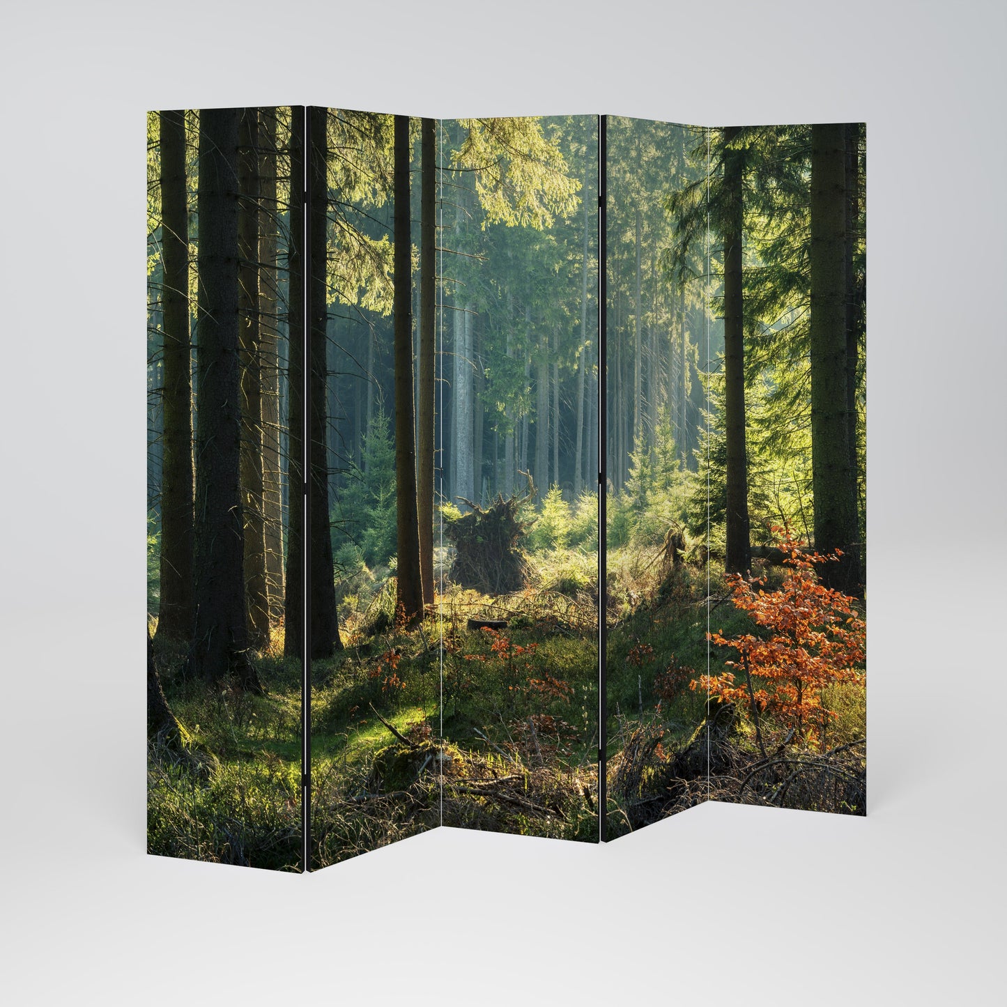 Dekorativ rumsavdelare med 5 paneler i SUNLIT FOREST SERENADE