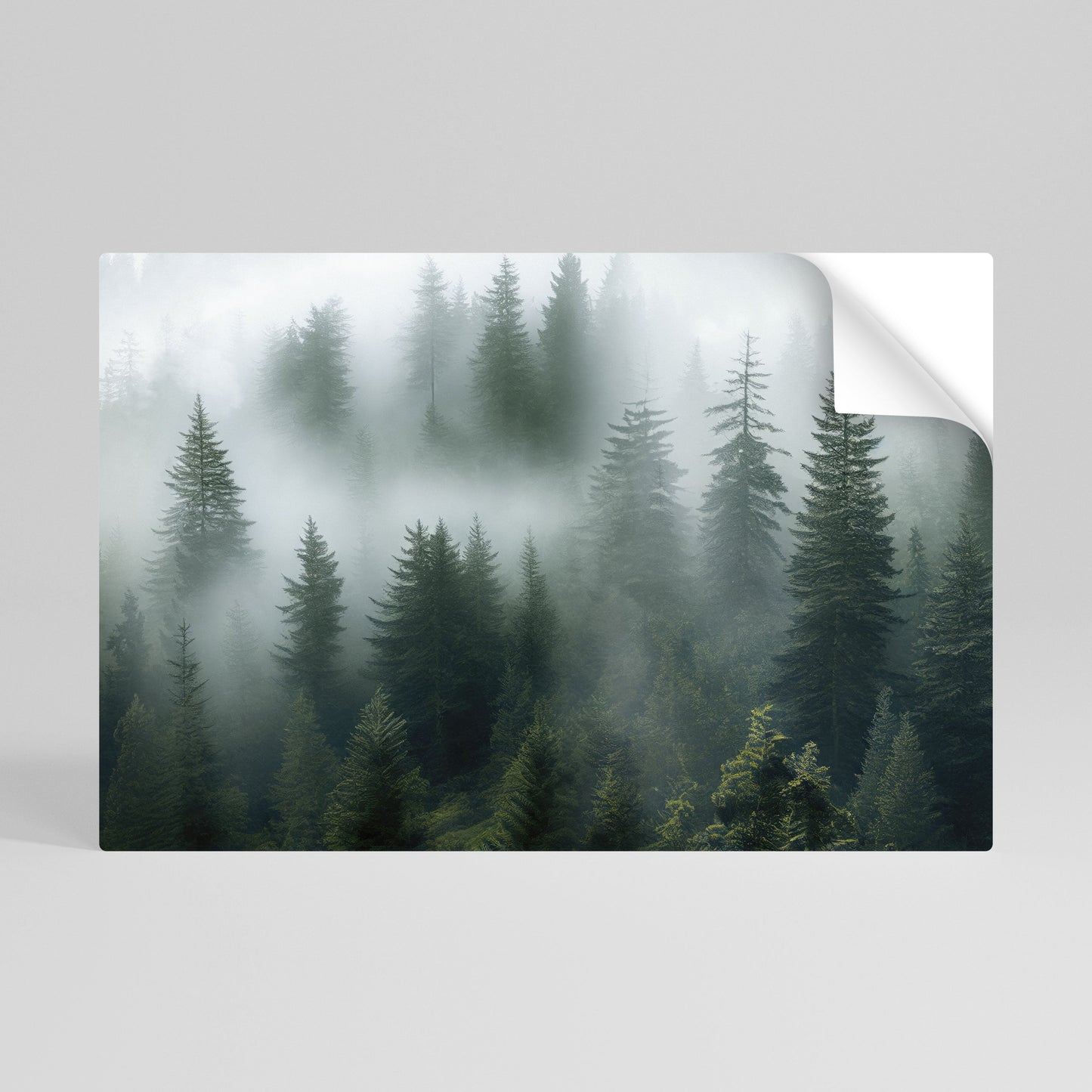 FOGGY CREST Peel and Stick Horizontal Poster