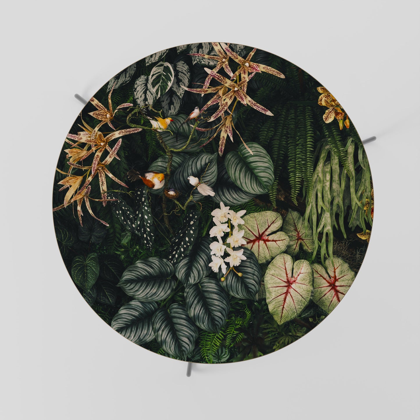 SILENT WILDERNESS Coffee Table 69