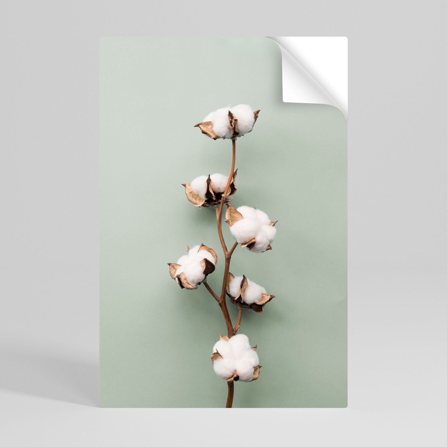 COTTON DREAMS UPPVIKTA Vertikal poster med självhäftande text