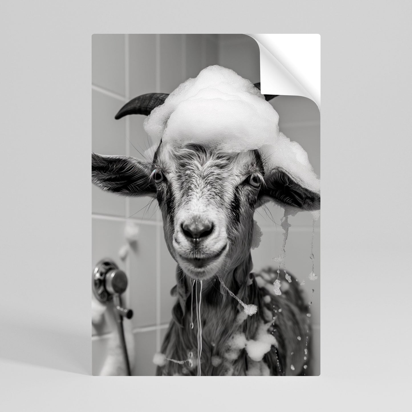 SOAPY GOAT GIGGLES Vertikal affisch med självhäftande text