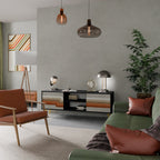 PECULIAR TRAIL 2-Door TV Stand in Black Finish