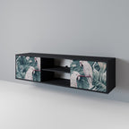 POPINJAY LOOK 2-Door TV Stand in Black Finish