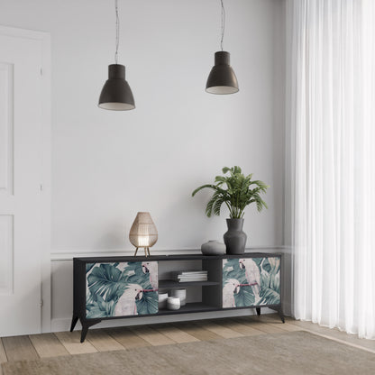 POPINJAY LOOK 2-dörrars TV-bänk i svart finish