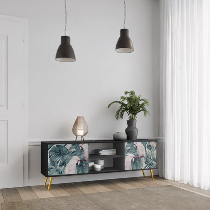 POPINJAY LOOK 2-dörrars TV-bänk i svart finish