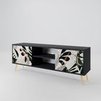 VERDURE FORMATION 2-Door TV Stand in Black Finish