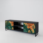 AUTUMN KALEIDOSCOPE 2-Door TV Stand in Black Finish