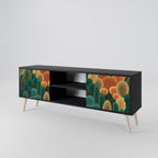 AUTUMN KALEIDOSCOPE 2-Door TV Stand in Black Finish