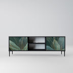 ROYAL GREEN 2-Door TV Stand in Black Finish