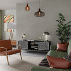 TEMPORARY SEQUENCE 2-Door TV Stand in Black Finish