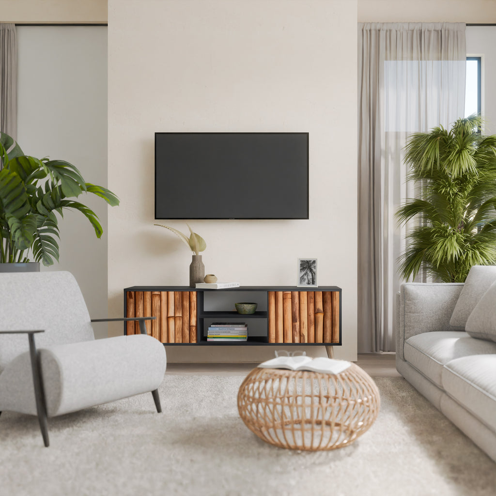 NATURAL WOOD 2-dörrars TV-bänk i svart finish