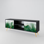 EXPENSIVE NATURE 2-Door TV Stand in Black Finish