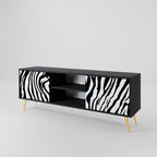 SPLENDID ZEBRA 2-Door TV Stand in Black Finish