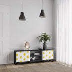 RADIANT REVERIE 2-Door TV Stand in Black Finish