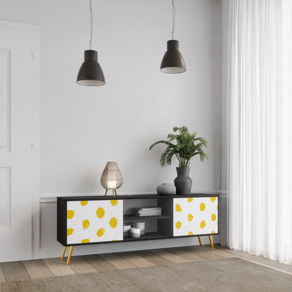 RADIANT REVERIE 2-dörrars TV-bänk i svart finish