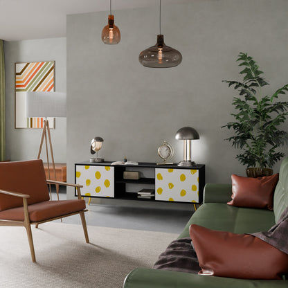 RADIANT REVERIE 2-dörrars TV-bänk i svart finish