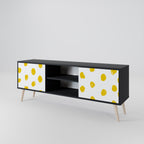 RADIANT REVERIE 2-Door TV Stand in Black Finish