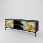 DREAMY MEADOW 2-Door TV Stand in Black Finish