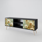 DREAMY MEADOW 2-Door TV Stand in Black Finish