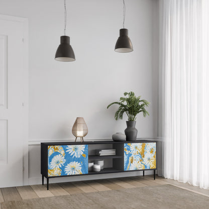 DAISY LUXE 2-dörrars TV-bänk i svart finish
