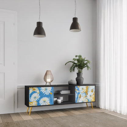 DAISY LUXE 2-dörrars TV-bänk i svart finish