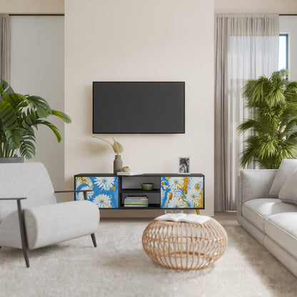DAISY LUXE 2-dörrars TV-bänk i svart finish