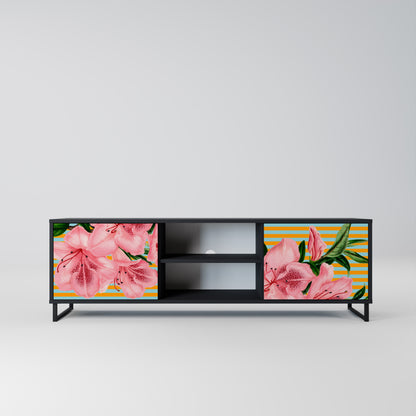 FRAGILE BEAUTY 2-dörrars TV-bänk i svart finish