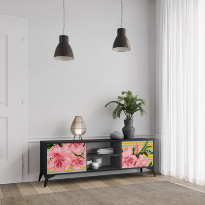 FRAGILE BEAUTY 2-dörrars TV-bänk i svart finish