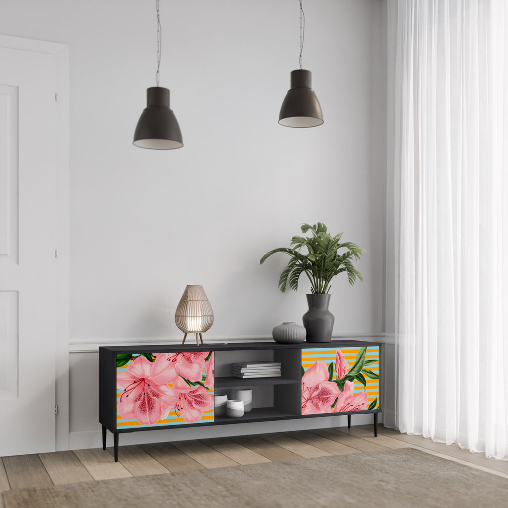 FRAGILE BEAUTY 2-dörrars TV-bänk i svart finish