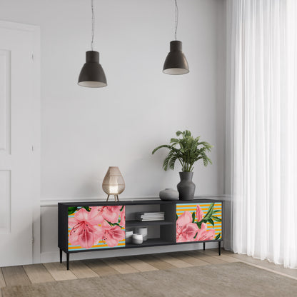 FRAGILE BEAUTY 2-dörrars TV-bänk i svart finish