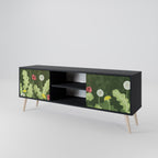 DANDELION AMUSE 2-Door TV Stand in Black Finish
