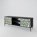 INDIAN FISH 2-Door TV Stand in Black Finish