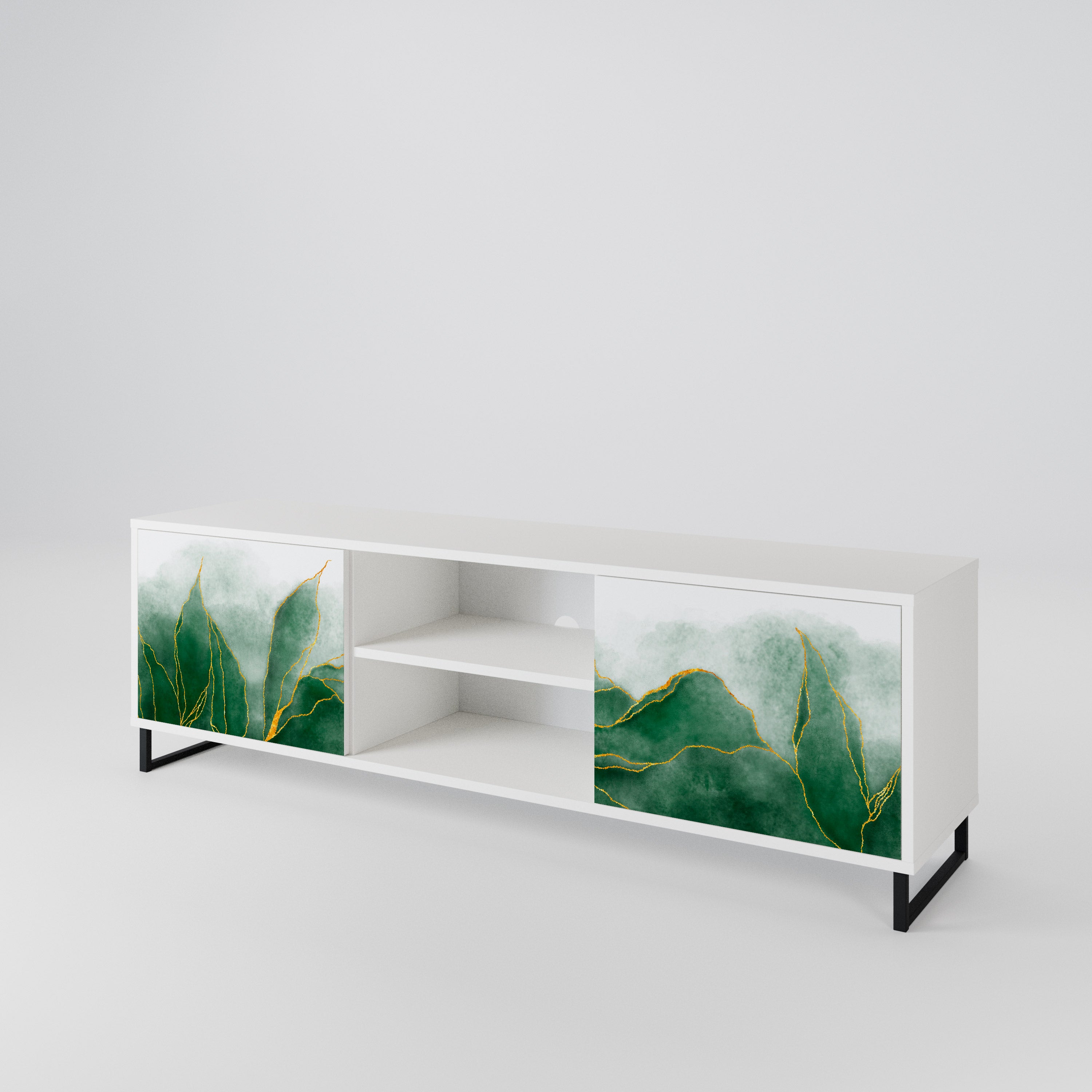 EXPENSIVE NATURE 2-Door TV Cabinet